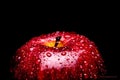 A Frame filling Macro image of a vibrant Red apple covered in water drops beading on the peel. Featuring 1/3 frame of negative