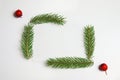 Frame of fir branch or spruce branch and red berries isolated on white background. Green natural fir tree branches Royalty Free Stock Photo