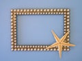 Frame and fish star Royalty Free Stock Photo