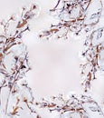 Frame of flower branches covered with a layer of ice on a gentle light natural background along the contour. Royalty Free Stock Photo