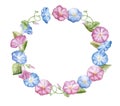 frame, flower wreath, ring. Flowers of blue pink ipomoea morning glory elements. Bouquet. Watercolor Illustration Royalty Free Stock Photo