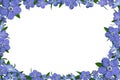 Frame of flowers blue cornflowers, isolated on white background Royalty Free Stock Photo