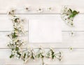 Frame of flowers cherry tree on background of white painted wooden planks and blank sheet with space for text. Top view, flat lay Royalty Free Stock Photo