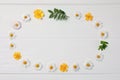 Frame of flowers and leaves on white wooden background, flat lay. Space for text Royalty Free Stock Photo