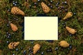 Frame of forest northern moss, blueberries and cones.