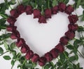 Frame in the form heart of red roses with water droplets on a white background Royalty Free Stock Photo