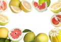 Frame of fresh exotic pomelo fruits on white background, space for text