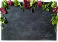 Frame of fresh green and red lettuce on a black scretched chalkboard for kitchen Royalty Free Stock Photo