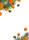 Frame of fresh tropic fruits orange mandarines, green kiwi, pineapples on palm tree leaf on white background with space for text. Royalty Free Stock Photo