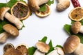 Frame of freshly picked forest mushrooms on white background, top view. Compositiof dry maple leafs, ceps, and dry orange slices A Royalty Free Stock Photo
