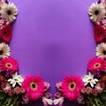 frame with gerbera flowers and purple background