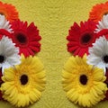 frame with gerbera flowers and yellow background