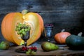 The frame of the gifts of autumn pumpkins, corn, fall leaves, tomatoes, red berry cranberry and grape. Royalty Free Stock Photo