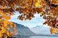 A frame of gold, Montreux, Switzerland: Autumn foliage and view to Swiss Alps Royalty Free Stock Photo