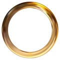 Frame gold ring Royalty Free Stock Photo