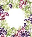 Frame of grape watercolor.