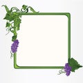 Frame with grapes leaves and vine