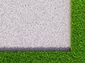 Frame grass Royalty Free Stock Photo