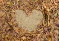 frame grass heart shaped of dry leaves on the ground Royalty Free Stock Photo