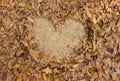 frame grass heart shaped of dry leaves on the ground Royalty Free Stock Photo