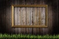 Frame and grass over background Royalty Free Stock Photo