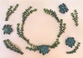 Frame of green blue succulents on a light paper background with space for text. Top view, flat lay