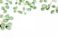 Frame of green branches, eucalyptus leaves on a white background. flat layout, top view Royalty Free Stock Photo