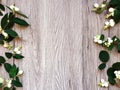 Frame of green branches of ghostberry on wooden table. Top view, flat lay Royalty Free Stock Photo