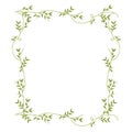 Frame with green creepers nature design