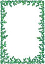 Frame of green leaves on a white background