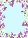 Frame greeting card design of white jasmine blooming branches with purple leaves on blue background