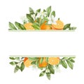 Frame of hand drawn blooming orange tree branches, flowers, oranges