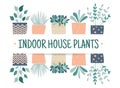 Frame with hand drawn flower pots with quote: Indoor house plants. - vector Royalty Free Stock Photo