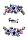 Frame with hand drawn pansy flowers Royalty Free Stock Photo