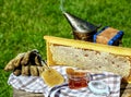 Frame honey. tools for beekeeping on wooden table. Beekeeping concept Royalty Free Stock Photo