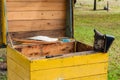 Frame with honeycomb with bees above the beehive Royalty Free Stock Photo