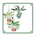 Frame with houseplants on macrame hangers