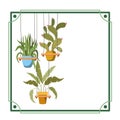 Frame with houseplants on macrame hangers