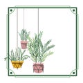 Frame with houseplants on macrame hangers