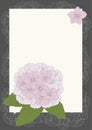 Frame with Hydrangeas