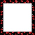 Frame with ladybirds Royalty Free Stock Photo