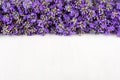 Frame of lavender on a white wooden background