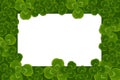 Frame leaves clover trefoil shamrock pattern