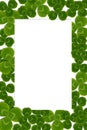 Frame leaves clover trefoil shamrock pattern Royalty Free Stock Photo