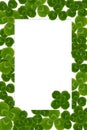 Frame leaves clover trefoil shamrock pattern