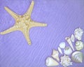 Still life with starfish, shells and corals Royalty Free Stock Photo