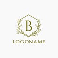 Frame logo vector, elegance nature letter B logo icon vector template