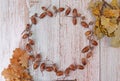 Frame made of acorns and oak leaves on a light wood background. autumn concept. Copy spase Royalty Free Stock Photo