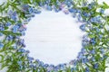 Frame made of amazing spring forget-me-not flowers on white wooden background, flat lay Royalty Free Stock Photo