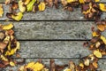 Frame made of autumn dried leaves on old dark wooden vintage background, barn board with moss. Autumn background composition. Fall Royalty Free Stock Photo